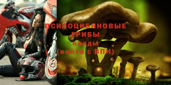 сатива Белоозёрский
