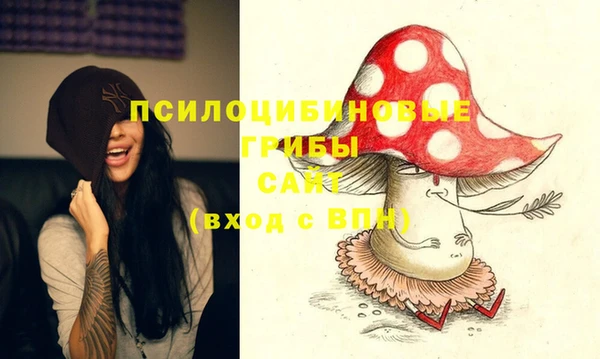 сатива Белоозёрский