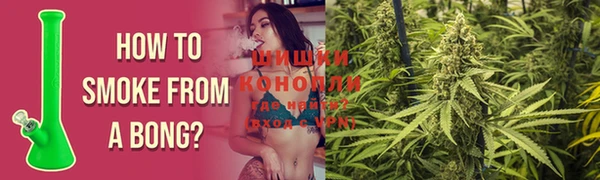 каннабис Беломорск